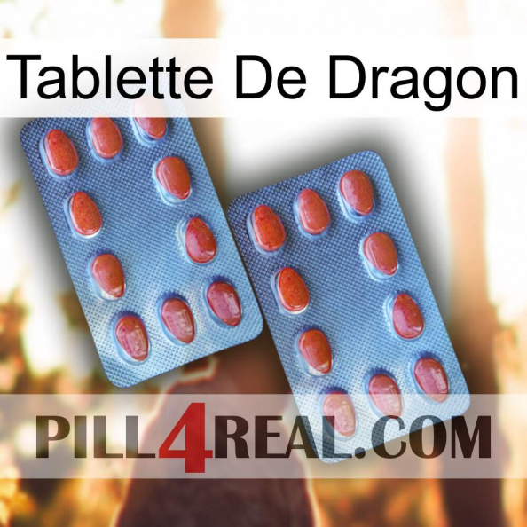 Dragon Tablet 05